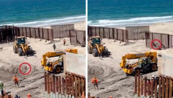 ¿American dog? Perrito cruza con éxito frontera con EU | Video