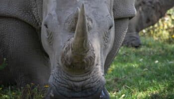 Cuernos de laboratorio #Niñonautas con Kirén Miret