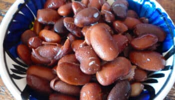 ¿El frijol que compras es el más barato? Esto dice Profeco