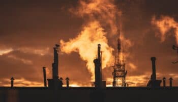 Restaurar la vida: ecosofía y desarrollo rural sostenible en México | Artículo de Mario Luis Fuentes