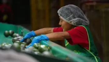 Tasa de desempleo en México llega al 2.6% en octubre