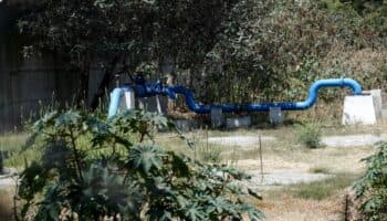 Facultad de Veterinaria y Zootecnia de la UNAM analiza agua de la Benito Juárez; esto fue lo que encontró