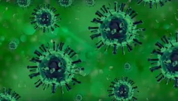 Primera muerte del mundo de un humano por gripe aviar H5N5 se registra en Estados Unidos