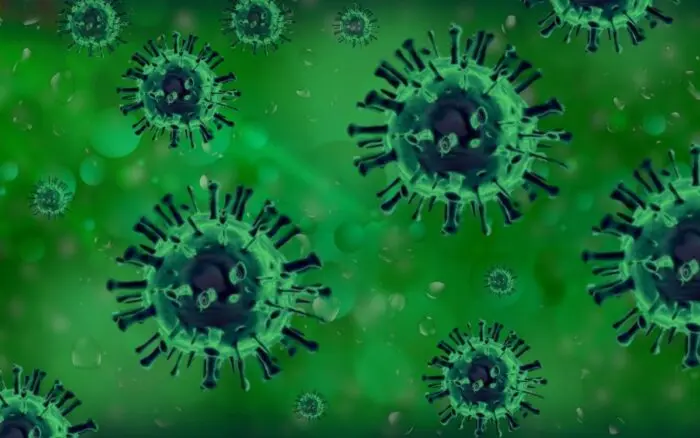 Primera muerte del mundo de un humano por gripe aviar H5N5 se registra en Estados Unidos