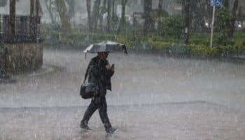 Temporada de lluvia: ¿Cómo recolectar agua fácilmente?