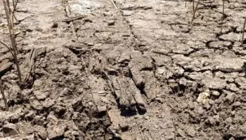 Descubren vestigios arqueológicos a las orillas de la isla de Janitzio