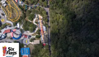 Six Flag da marcha atrás: ya no tirará árboles para nuevo juego