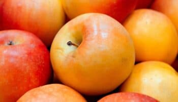 ¿Qué tipo de nutrientes tiene la manzana?