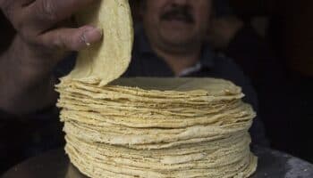 ¿Qué estados tienen los precios más altos de tortilla? Profeco informa