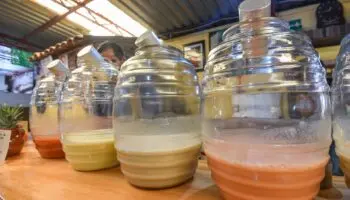 El pulque, 'la bebida de los dioses', es declarado Patrimonio Cultural Inmaterial de la CDMX