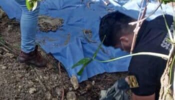 Localizan 17 cuerpos en fosas clandestinas en Chiapas: Ángeles Mariscal | Video