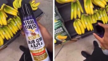 Detienen a 'influencer' que se grabó mientras rociaba insecticida en alimentos de un supermercado