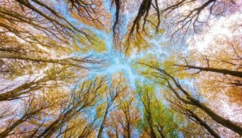 Humanos somos una especie más en el planeta, debemos mantener el equilibrio: Mónica Álvarez | Entérate
