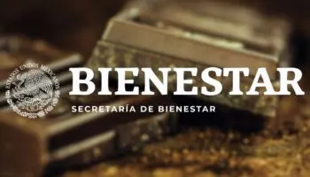 Chocolate, café y miel del Bienestar: La nueva apuesta de Sheinbaum y la 4T
