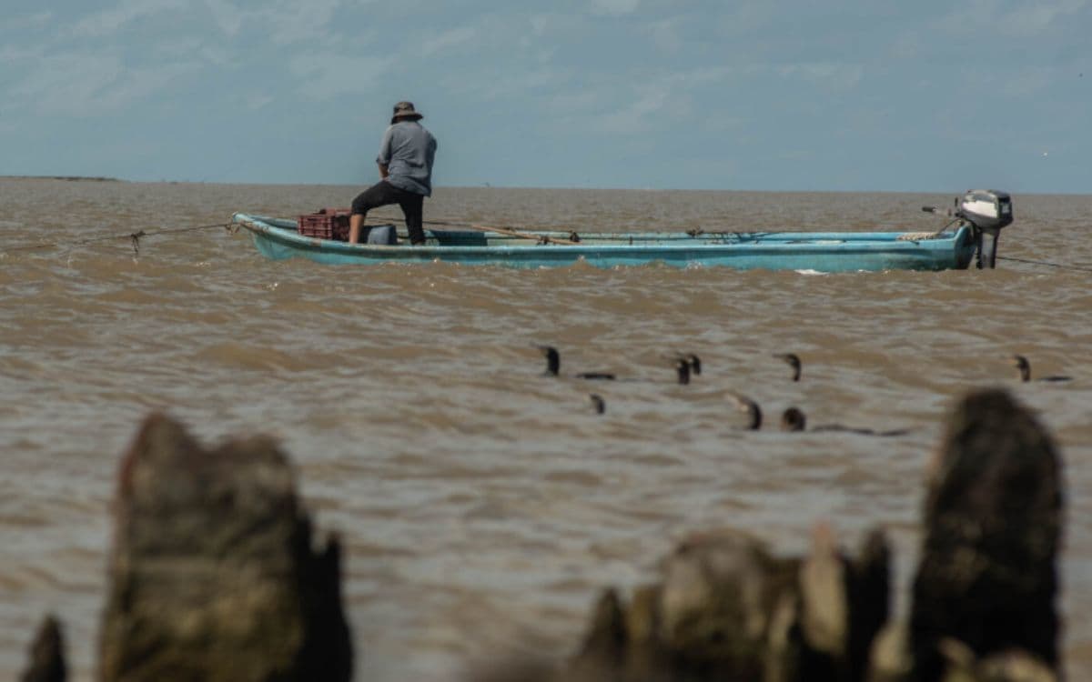 Derrames impunes: imágenes satelitales revelan seis años de derrames de petróleo no reportados por las empresas en el Golfo de México