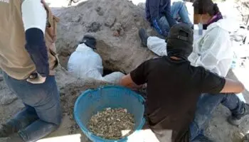 Sheinbaum sobre hallazgo de hornos clandestinos en Jalisco: 'Es terrible'