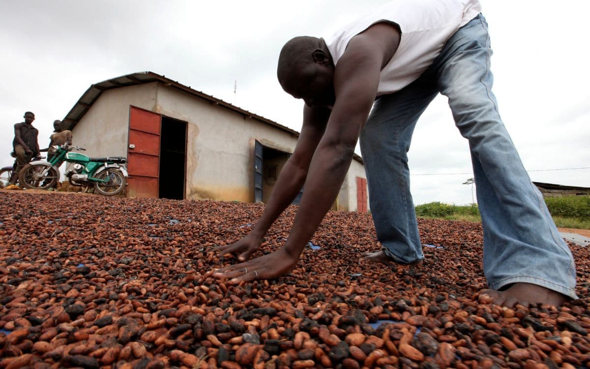 Santiago Gowland alerta que el 50% de la tierra apta para café desaparecerá