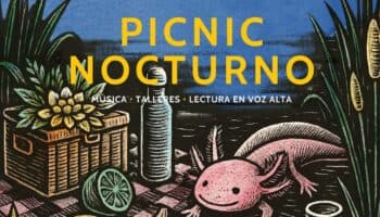 Picnic Nocturno en Acuexcomatl: Cultura, naturaleza y gastronomía bajo las estrellas de Xochimilco