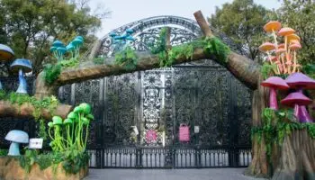 CDMX | Únete al recorrido 'Somos Naturalista' para observar biodiversidad urbana