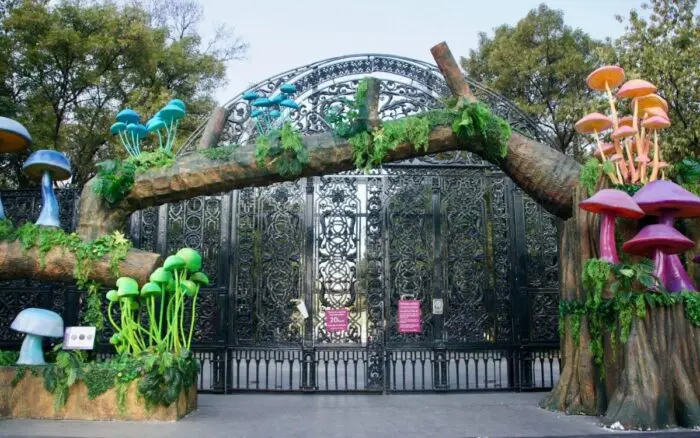 CDMX | Únete al recorrido 'Somos Naturalista' para observar biodiversidad urbana