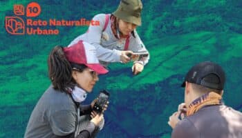 ¡A celebrar los 10 años Reto Naturalista Urbano!