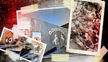 CNDH detecta irregularidades en investigación del 'Rancho Izaguirre'; no toca a FGR