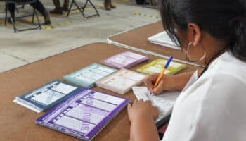 Primarias abiertas y fin a sobrerrepresentación: Figueroa