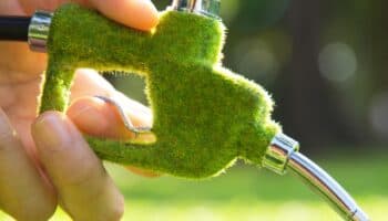 Biocombustible, energía renovable a partir de las plantas #Niñonautas con Kirén Miret