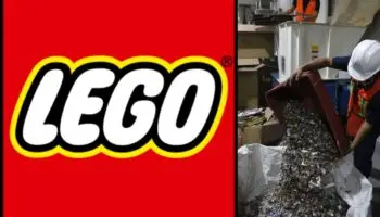 Destruyen autoridades en CDMX 11,000 'LEGOs' asegurados en aduanas | Video