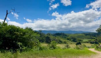 Las tierras que el hijo del presidente de Bolivia convirtió en monocultivos | Investigación Connectas