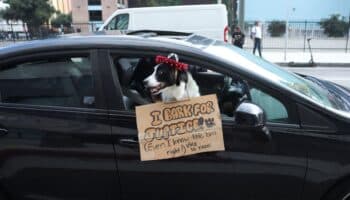 Sin antecedentes penales, casi 7 de cada 10 migrantes detenidos en Los Ángeles