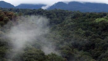 COP30 en la mira: México exige una NDC justa, ambiciosa y coherente