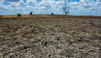'Estamos a tiempo y estamos obligados. Hay que evitar la catástrofe': Julia Carabias sobre la crisis ambiental en México