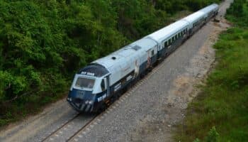 Estas son cuatro de las amenazas alrededor del Tren Interoceánico en México | Mongabay