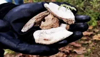 Jalisco | Hallan presunto crematorio y campo de entrenamiento en Cerro de Cuauhtépetl