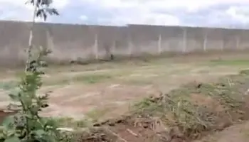 Hallan 211 bolsas con restos humanos en la fosa Las Agujas, Jalisco; la más grande del año