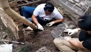 Jalisco | Hallan molares, rótulas y otros huesos en presunto crematorio clandestino