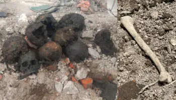 Ceci Flores reporta hallazgo de restos humanos en la colonia Guerrero