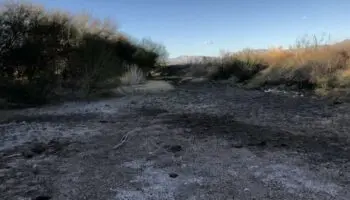 Semarnat, Profepa y Conagua obstaculizan justicia a víctimas de Río Sonora