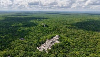 Corredor de la Gran Selva Maya protegerá el 12% de la biodiversidad mundial: Alicia Bárcena