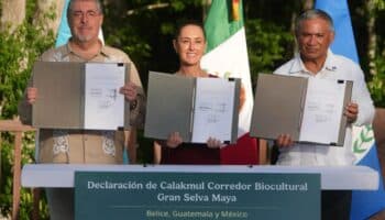 México, Guatemala y Belice crean el Corredor Biocultural de la Gran Selva Maya, el más grande del mundo
