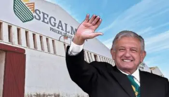 Segalmex | 'Hubo luz verde para robar' durante sexenio de AMLO: Periodistas