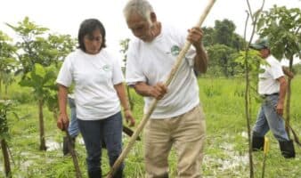 Humedales costeros de agua dulce: los aliados olvidados de México contra el cambio climático | Mongabay