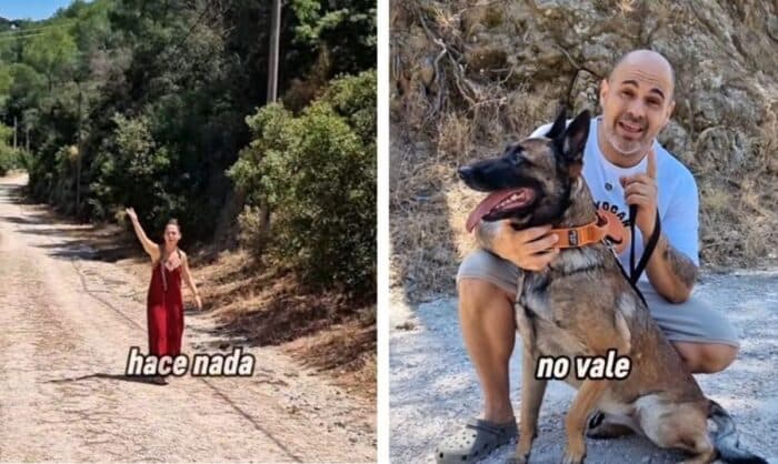 Por qué no deberías soltar a tu perro en espacios compartidos, según un experto en conducta