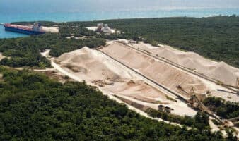 'La Selva Maya grita': Greenpeace exige frenar la devastación | Video