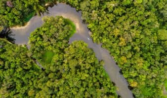 EBC Financial Group lanza programa para proteger el Amazonas con operaciones de trading