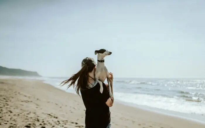 ¿Tener perro podría disminuir el riesgo de un infarto? UNAM explica