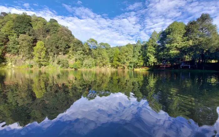 Bosques del futuro | Bosques vivos para garantizar el agua del mañana