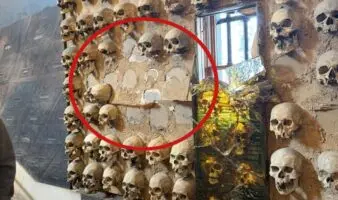 Obra de Cauduro debe ser restaurada y conservar huellas de la manifestación: Liliana Pérez Cano