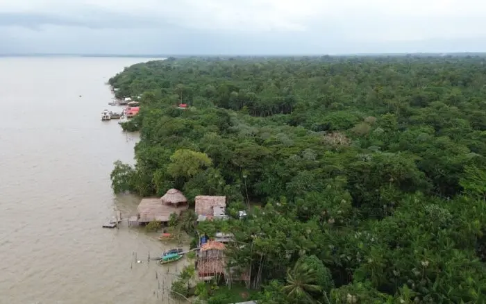 COP30 | ¿Salvarán los bosques? La paradoja de la deforestación cero sin un freno a los combustibles fósiles